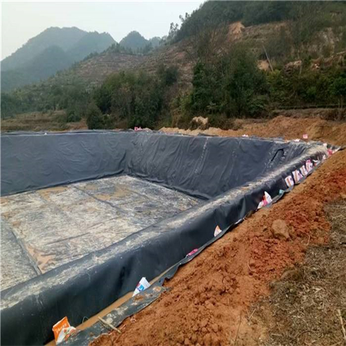 您了解魚塘防滲膜施工方法有哪些嗎？